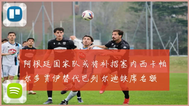 阿根廷国家队或将补招塞内西卡帕尔多贾伊替代巴列尔迪缺席名额