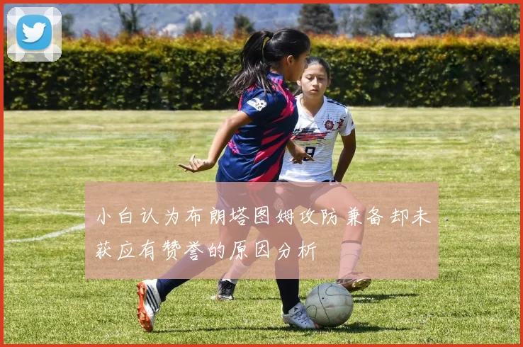 小白认为布朗塔图姆攻防兼备却未获应有赞誉的原因分析